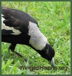 female-neck-down