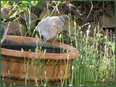 to spend the day and