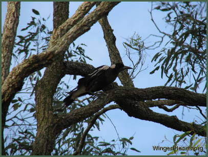 Mindy is on sentry duty
