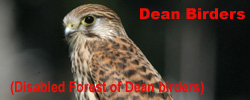 deanbirders.jpg