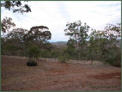 There seems no end to worst drought in
