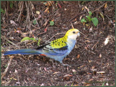 It's a lovely day and I can see some seeds