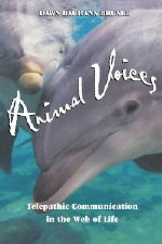 animalvoices-book-image